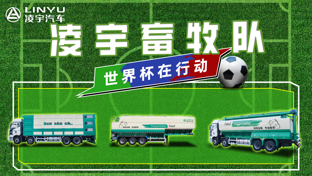 奪冠世界杯！你注意到這支球隊(duì)了嗎？